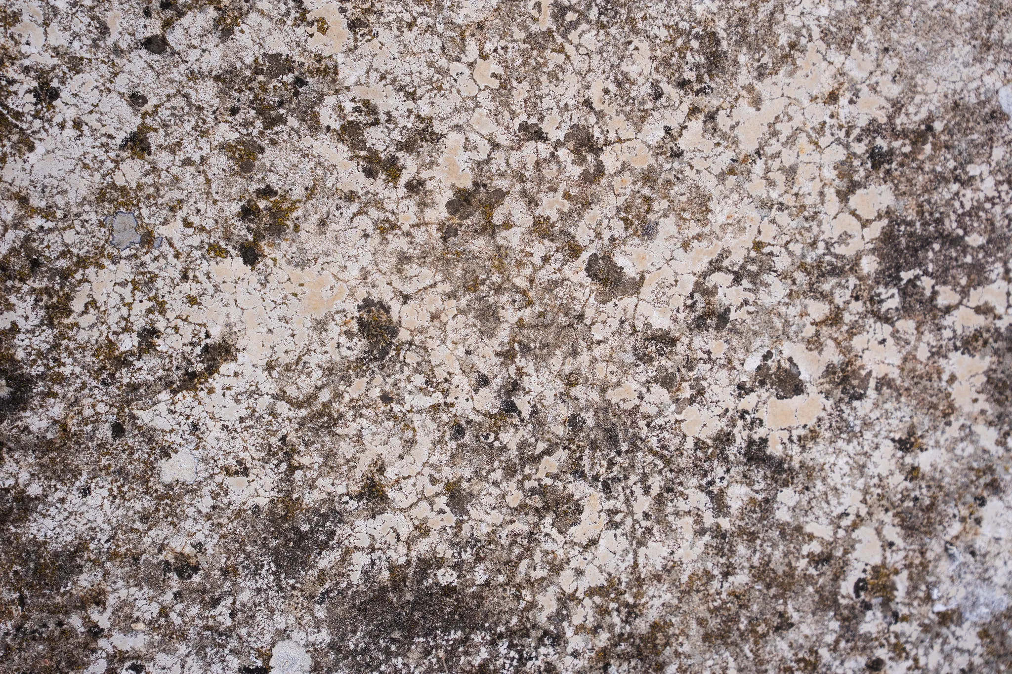Détail de pierre et de vestiges découverts sur le site de Gisacum